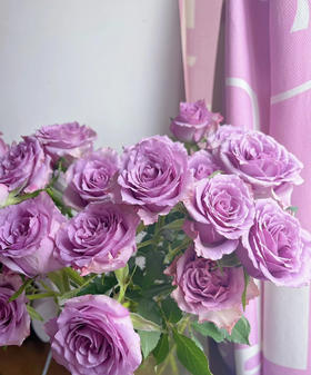【昆明玫瑰】紫霞仙子 20支/扎  A级