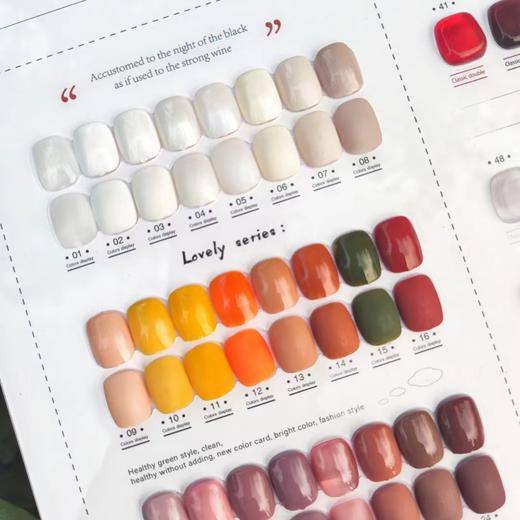 【秒杀价】ins韩风高级轻奢风Bowenini80色 商品图4