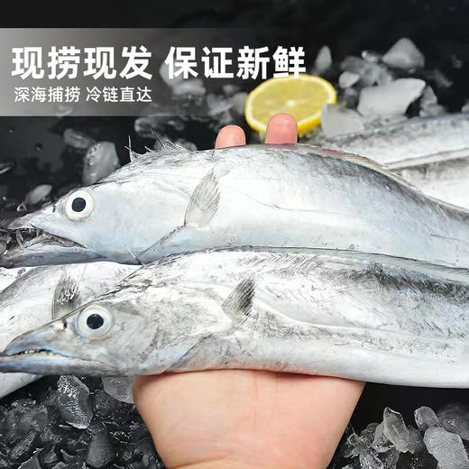 港岛姑娘 本港带鱼精品刀鱼味美鲜 400-450g/盒3-4条活冻 商品图3