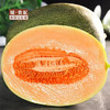 【GYZYDR】小蜜瓜3-4斤 商品缩略图0