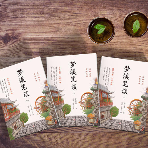 《梦溪笔谈》全3册 盒装版 | 文白对照全译，900多年前的百科全书 商品图8