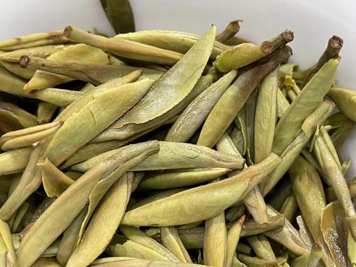22年磻溪仙蒲村荒野白毫银针（林下荒野·直面茶） 商品图7