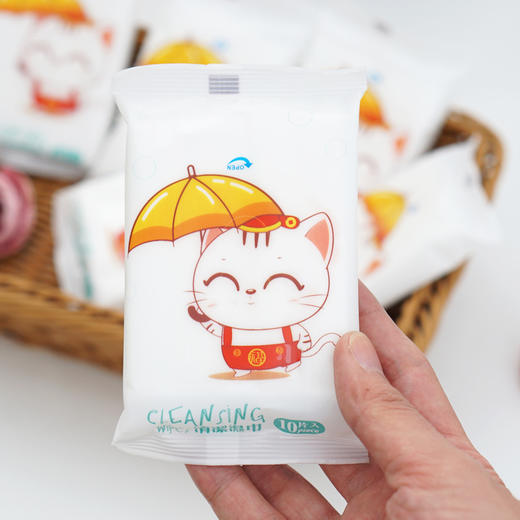 「20包！单包10片便携装」10片装湿纸巾居家日用 清洁工具十片抽湿巾无纺布湿巾纸母婴 商品图8