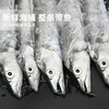 港岛姑娘 本港带鱼精品刀鱼味美鲜 400-450g/盒3-4条活冻 商品缩略图4