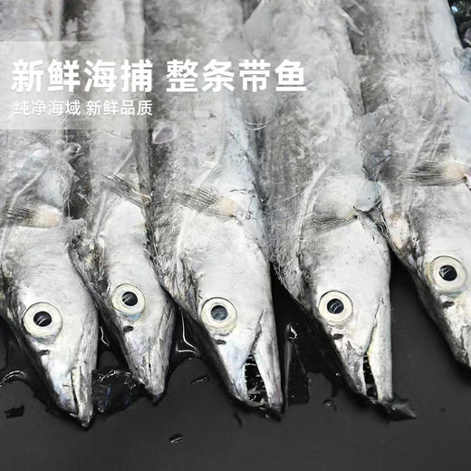 港岛姑娘 本港带鱼精品刀鱼味美鲜 400-450g/盒3-4条活冻 商品图4