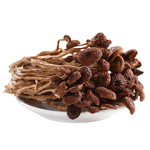 十堰房县 诗经贡 茶树菇250克/袋 商品图3