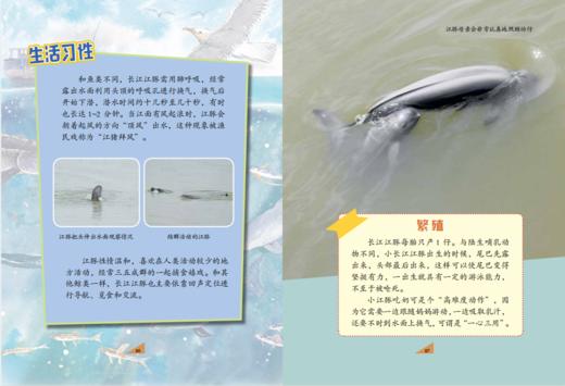 《守护长江精灵·原创生态童话》（套装6册） 商品图8