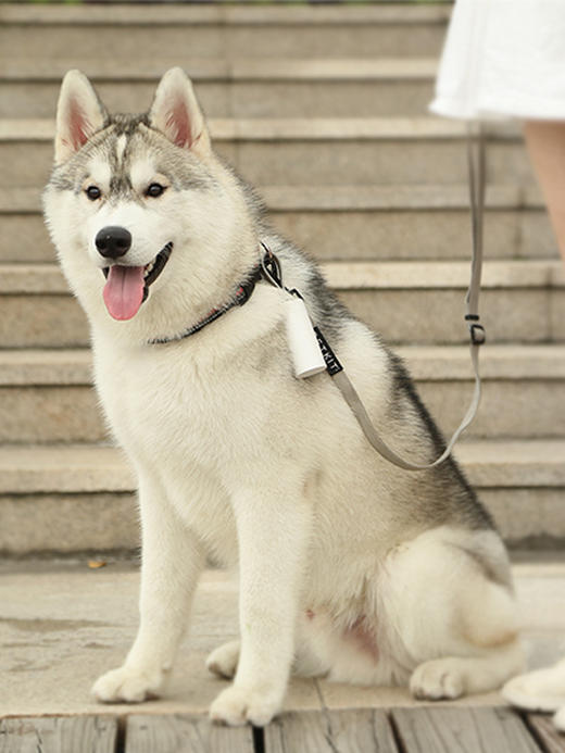 小佩PETKIT宠物拾便袋狗狗拾便器狗屎铲屎器用品遛狗捡屎垃圾袋 商品图1