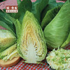 牛心菜500g/份【GYZH】 商品缩略图0