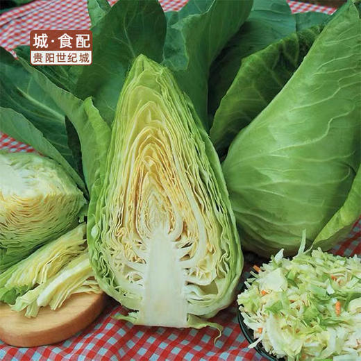 牛心菜500g/份【GYZH】 商品图0