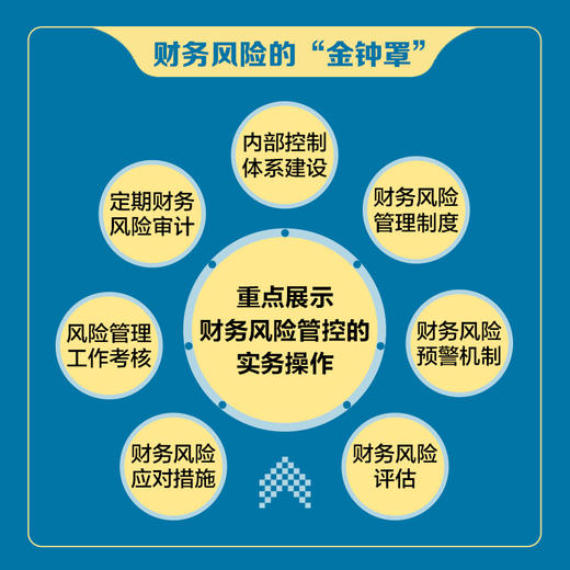 企业财务风险管理 风险管控方法与案例分析 企业内*控制财务风险预警*际管理会计师组织IMA出品 商品图5