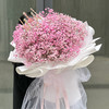 满天星混搭花束送女朋友老婆妈妈闺蜜朋友520情人节生日浪漫惊喜告白求婚礼物 商品缩略图0