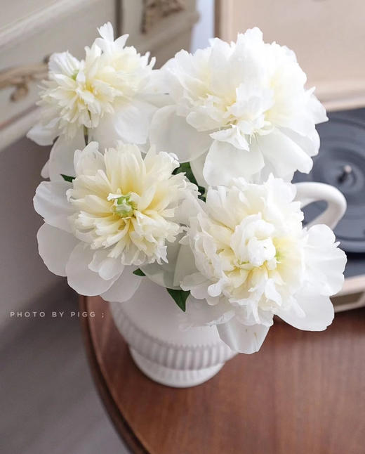 【淡雅高级】芍药 -公爵夫人 白色  5枝/扎 半开 商品图4