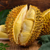 金枕榴莲6-7斤 商品缩略图4