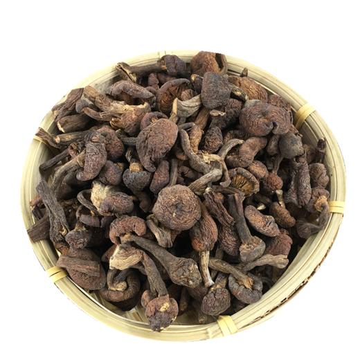 【厂商直发】有机菌菇干货肉质醇香手选干净包邮 商品图4