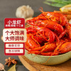 GUO LIAN国联 十三香小龙虾 750g 4-6钱 净虾500g 中号 18-24只 小龙虾熟食 调料 鲜活小龙虾熬制 海鲜水产 商品缩略图0