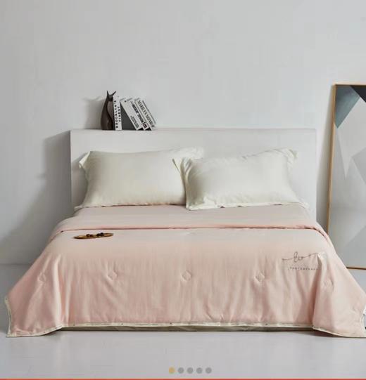 红豆家纺 生态棉夏被2.0*2.3 商品图0