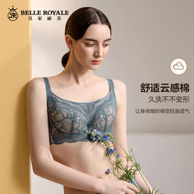 皇家丽美有钢圈调整型聚拢文胸上托小胸聚拢不空杯 WJ073-2