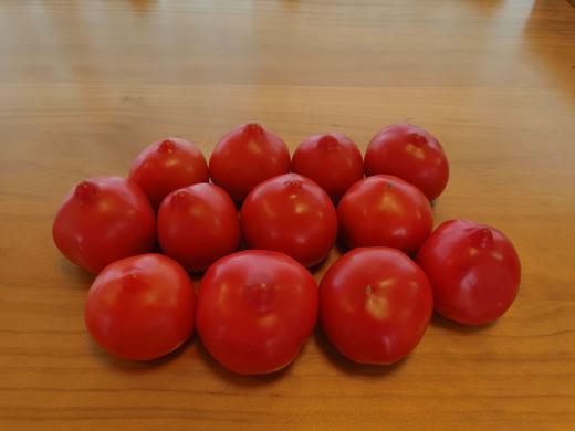 红色小番茄10斤 商品图0