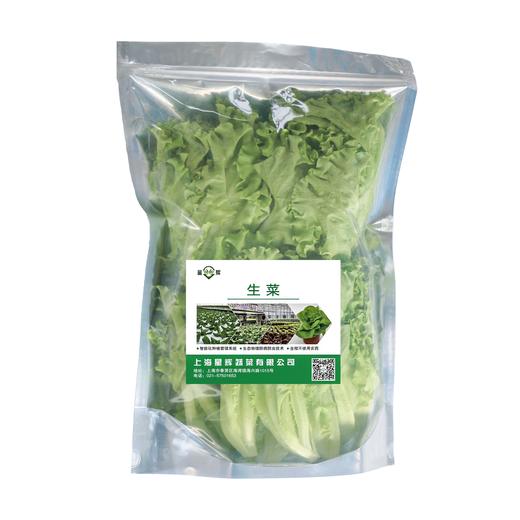 水培嫩绿生菜 商品图0
