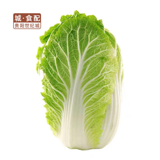 【GYZYDR】大白菜2-3斤/份 商品图0
