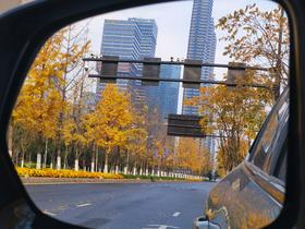 #杭州#滨江奥体