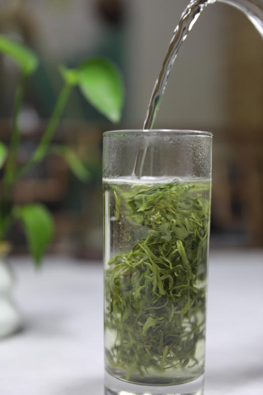 铜仁石阡【苔熙一级绿茶】礼盒装100g 富含钾元素 原生态茶园 纯搓揉工艺 全国包邮部分地区不发货 商品图4