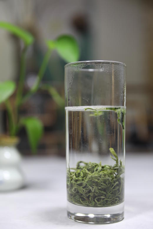 铜仁石阡【苔熙一级绿茶】礼盒装100g 富含钾元素 原生态茶园 纯搓揉工艺 全国包邮部分地区不发货 商品图3