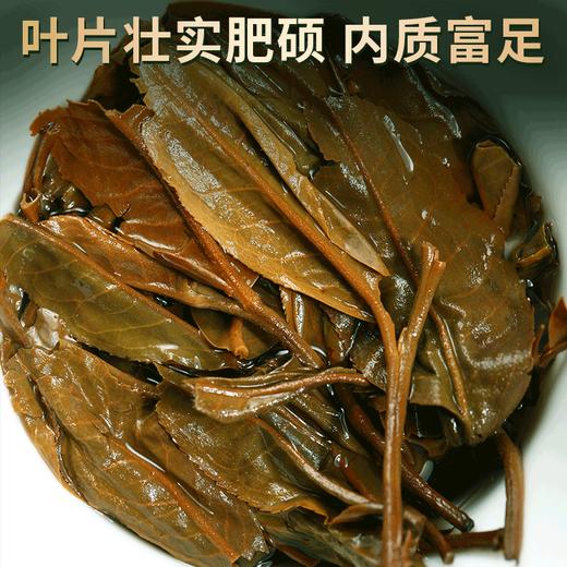 【干仓老茶】吉顺号2007易武正山普洱茶生茶十年以上老生茶云南七子饼茶茶叶 商品图2