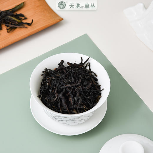 天池茶业鸭屎香凤凰单丛茶银花香单枞茶叶潮州特产320克 商品图2