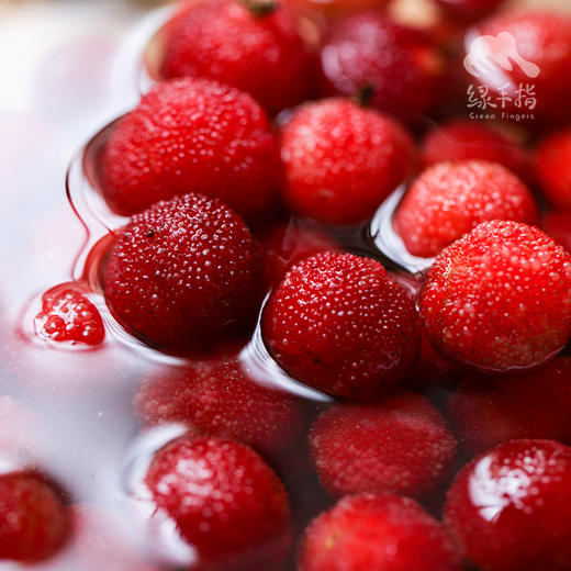 生态杨梅 （限广东） | 合作生产 * Ecological Bayberry | Coproduction 商品图5