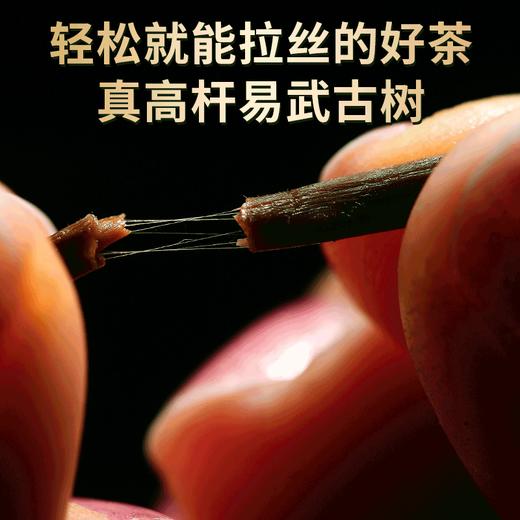 【干仓老茶】吉顺号2007易武正山普洱茶生茶十年以上老生茶云南七子饼茶茶叶 商品图3