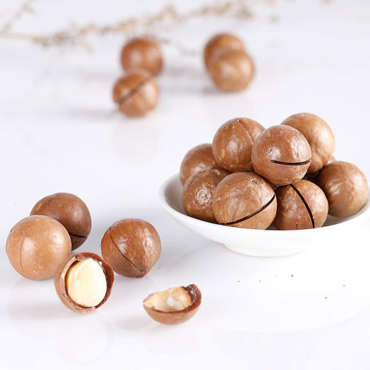 
臻味-100g澳洲夏威夷果-YGF 商品图3