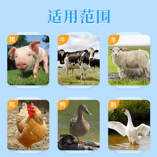 华畜饲料盐氯化钠50kg 促进消化增加食欲 商品图3