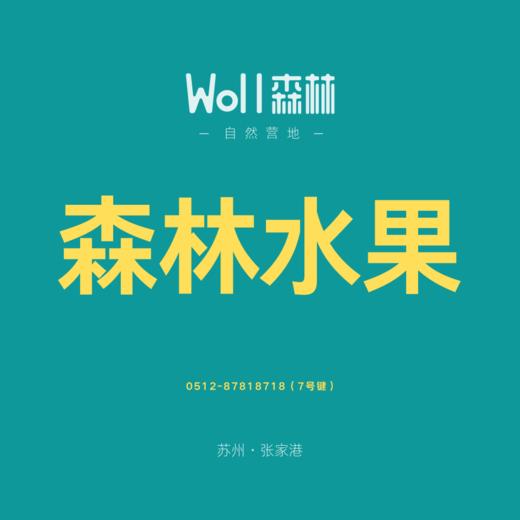 森林水果 商品图0