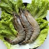 超大号冻黑虎虾 12只/盒鲜活速冻 个大肉厚 商品缩略图1