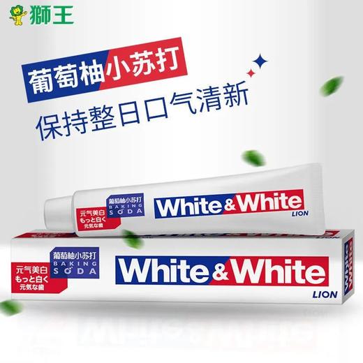 【美白牙齿】狮王葡萄柚大白牙膏2盒 商品图0