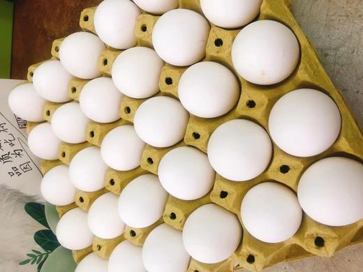 乌鸡蛋一箱（拼团） 商品图0