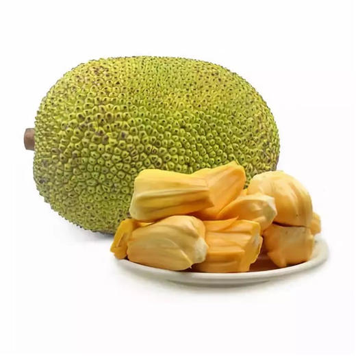 【98元/个】菠萝蜜16.5公斤（150192001） 商品图0