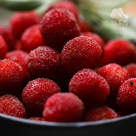 生态杨梅 （限广东） | 合作生产 * Ecological Bayberry | Coproduction