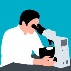 品种真实性检测服务