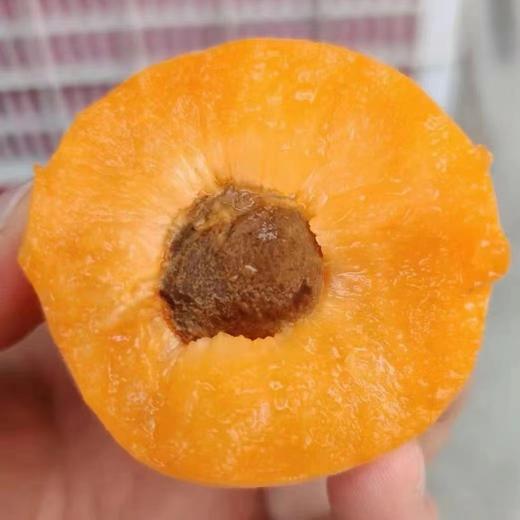 大黄杏2斤（拼团） 商品图1