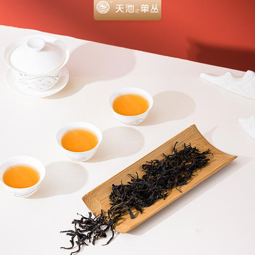 天池茶业蜜兰香凤凰单丛春茶新茶浓香型单枞320克 商品图3