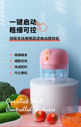 德国领致捣蒜器迷你电动蒜泥神器绞肉机家用小型切蒜蓉搅碎器无线