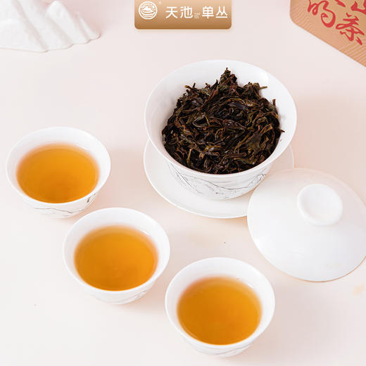天池茶业蜜兰香凤凰单丛春茶新茶浓香型单枞320克 商品图4