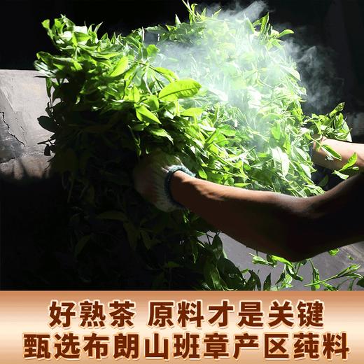 7饼整提吉顺号班章孔雀头春大树茶普洱茶熟茶叶云南七子饼熟茶饼2499g 商品图1