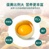 【神丹重点推荐】32%黑鸡绿蛋礼盒  41g*30枚 商品缩略图1