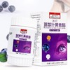 【呵护双眼！南京同仁堂蓝莓叶黄素酯片】保护视力明眸善睐，用眼过度视力下降，眼睛酸胀视线模糊，自然营养健康好味，护眼片眼睛片青少年中老年青年60片/盒。ry 商品缩略图3