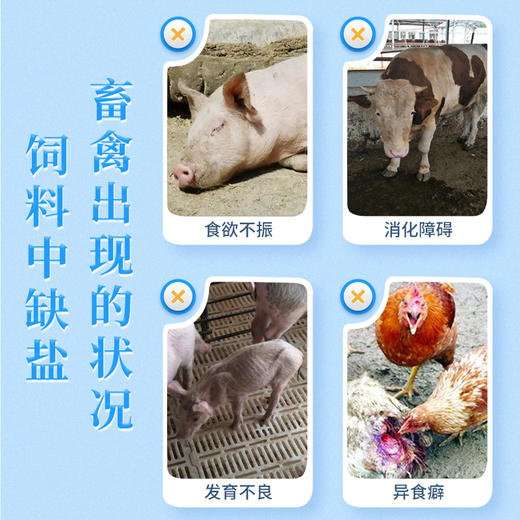 华畜饲料盐氯化钠50kg 促进消化增加食欲 商品图1