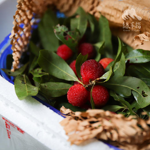生态杨梅 （限广东） | 合作生产 * Ecological Bayberry | Coproduction 商品图9